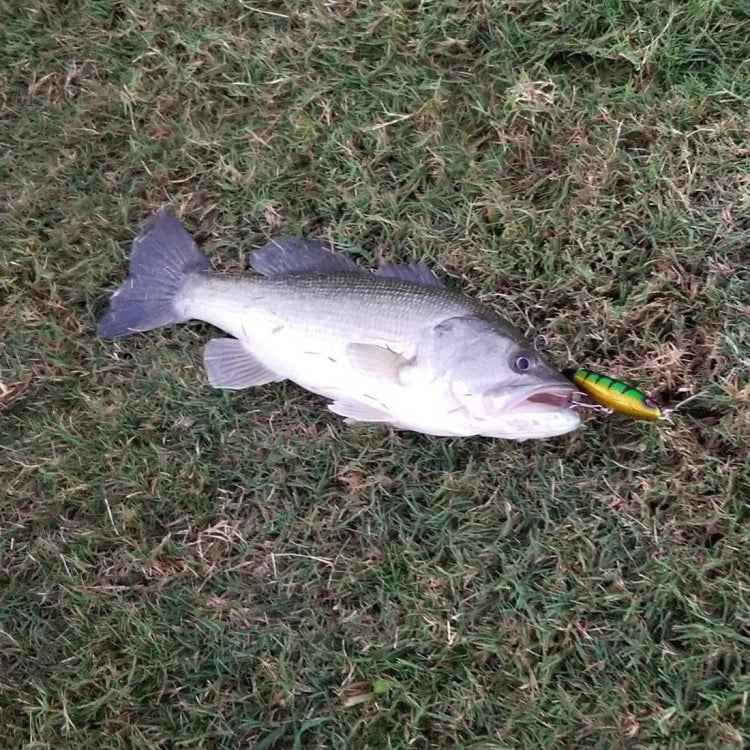 HENGJIA PE018 10cm/13g Propeller Tractor Shaped Hard Baits Fishing Lures Tackle Baits Fit Saltwater and Freshwater