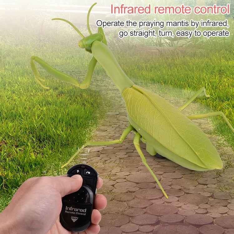 6661 Infrared Sensor Remote Control Simulated Praying Mantis Creative Children Electric Tricky Toy Model