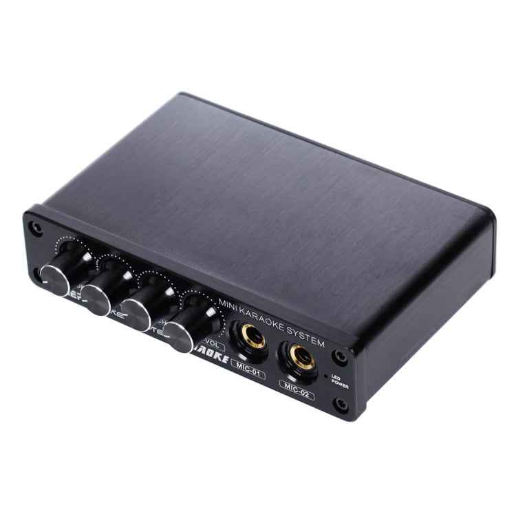 A933 Mini Karaoke Machine System Sound Mixer Amplifier for PC / TV / Mobile Phones, Support RCA in / 2 Channel Mic in