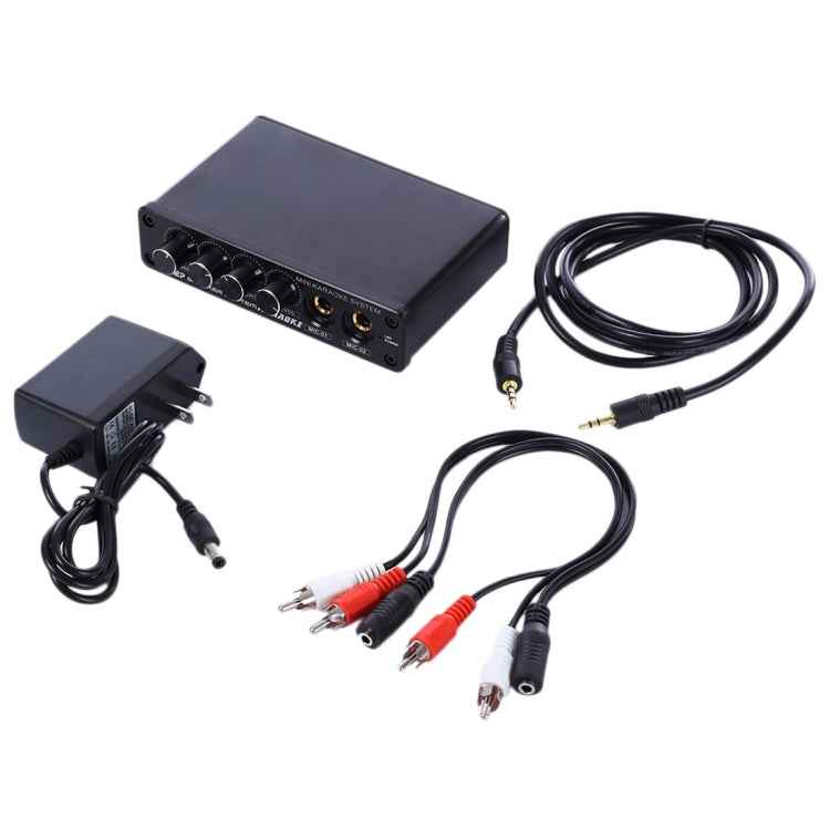 A933 Mini Karaoke Machine System Sound Mixer Amplifier for PC / TV / Mobile Phones, Support RCA in / 2 Channel Mic in