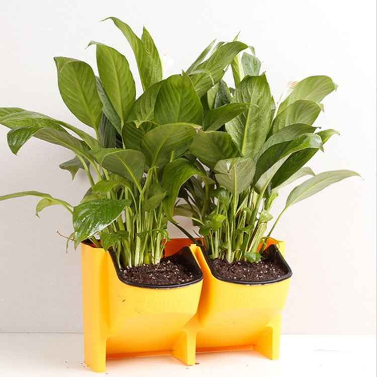 Plant Wall Vertical Indoor and Outdoor Balcony Wall-mounted Flower Pots Creative Combination of Resin Plastic Flower Pots with Removable Pot
