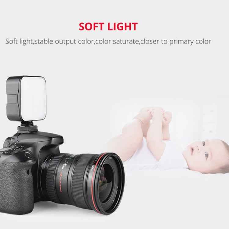 YELANGU LED01 49 LED Video Light for Camera / Video Camcorder