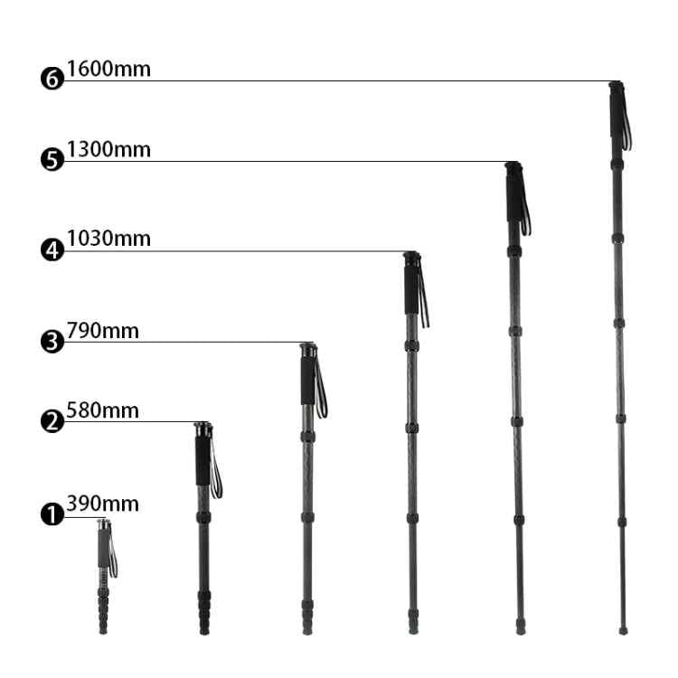 BEXIN P306C Portable Travel Outdoor DSLR Camera Carbon Fiber Monopod Holder