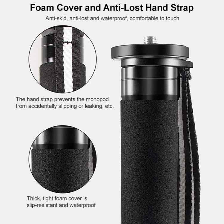BEXIN P336C Camera Carbon Fiber Monopod Travel Live Selfie Bracket Holder