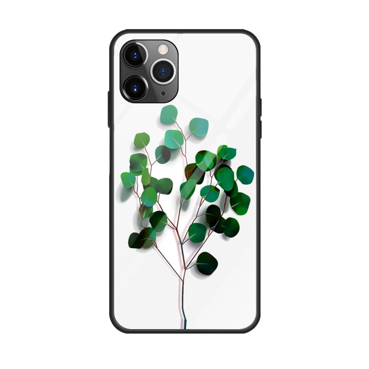 Colorful Painted Glass Case