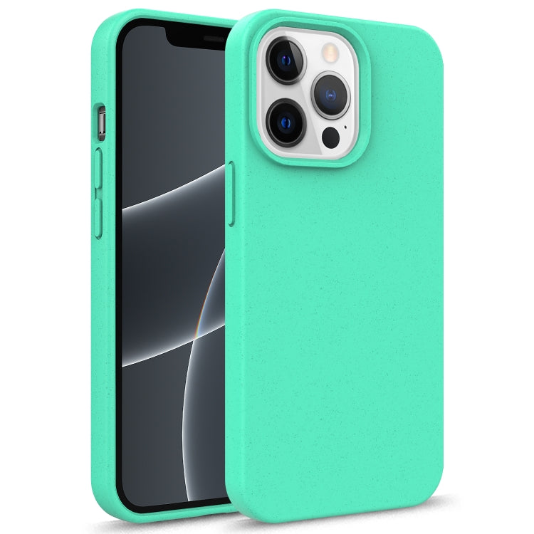 Starry Series Shockproof Straw Material + TPU Protective Case, For iPhone 13 Pro, For iPhone 13, For iPhone 13 mini, For iPhone 13 Pro Max