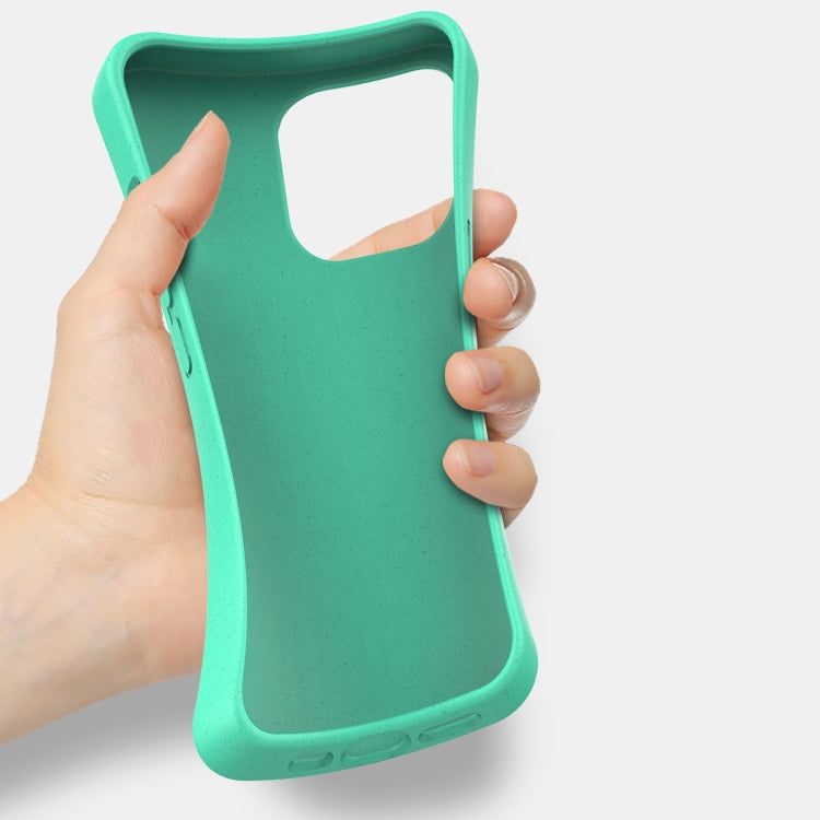 Starry Series Shockproof Straw Material + TPU Protective Case, For iPhone 13 Pro, For iPhone 13, For iPhone 13 mini, For iPhone 13 Pro Max