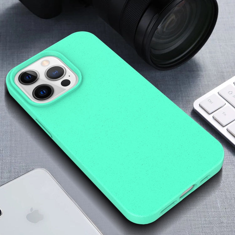 Starry Series Shockproof Straw Material + TPU Protective Case, For iPhone 13 Pro, For iPhone 13, For iPhone 13 mini, For iPhone 13 Pro Max