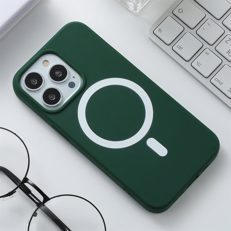 Silicone Magsafe Phone Case, For iPhone 13 Pro Max, For iPhone 13 Pro, For iPhone 13, For iPhone 13 mini, For iPhone 12 Pro Max, For iPhone 12 / 12 Pro, For iPhone 12 mini