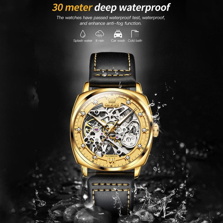 OLEVS 6651 Men Luminous Waterproof Hollow Mechanical Watch