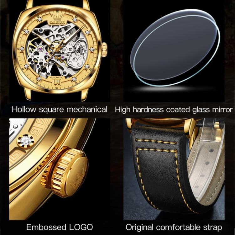 OLEVS 6651 Men Luminous Waterproof Hollow Mechanical Watch