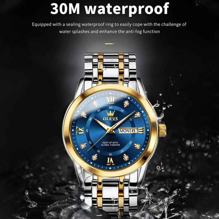 OLEVS 5513 Men Business Luminous Waterproof Quartz Watch