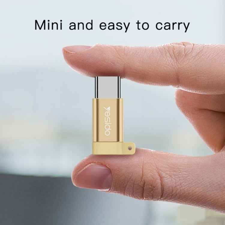 Yesido GS04 Type-C to Micro USB Mini Connector Adapter with Keychain