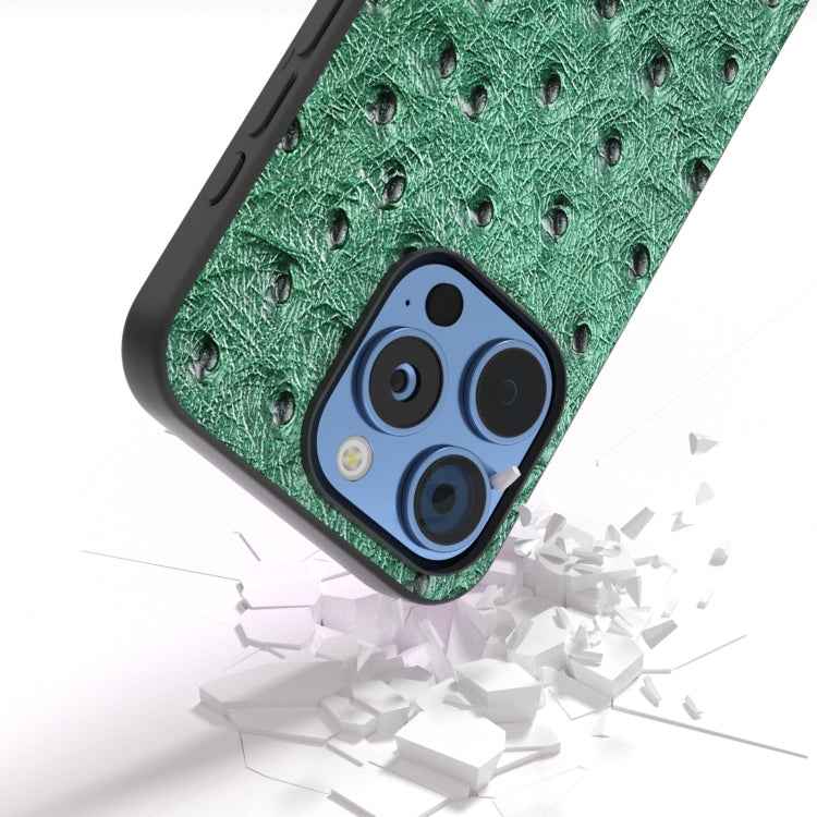ABEEL Genuine Leather Ostrich Texture Phone Case