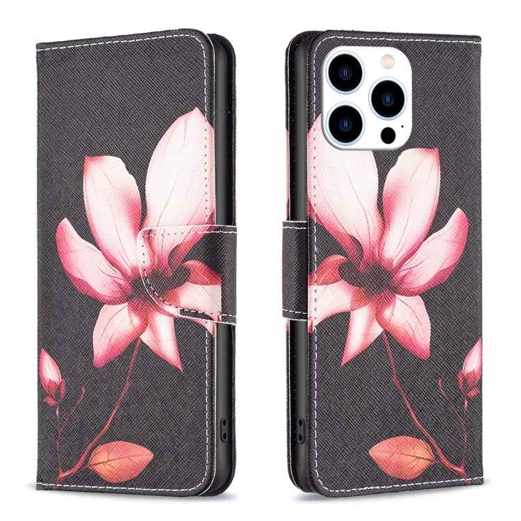 Colored Drawing Pattern Flip Leather Phone Case