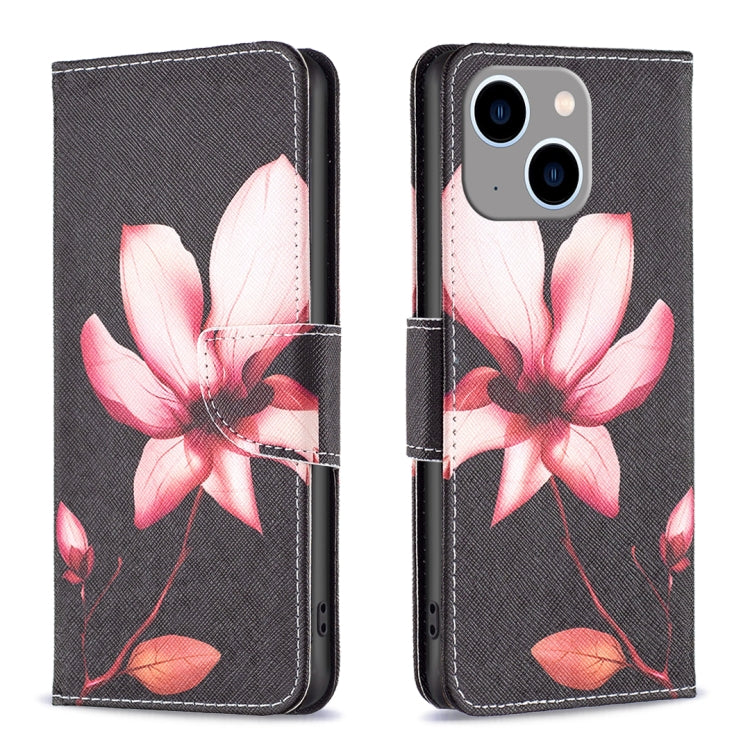 Colored Drawing Pattern Flip Leather Phone Case