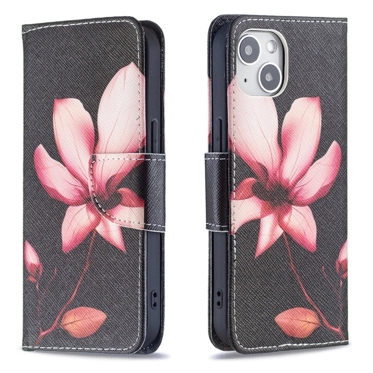 Colored Drawing Pattern Flip Leather Phone Case