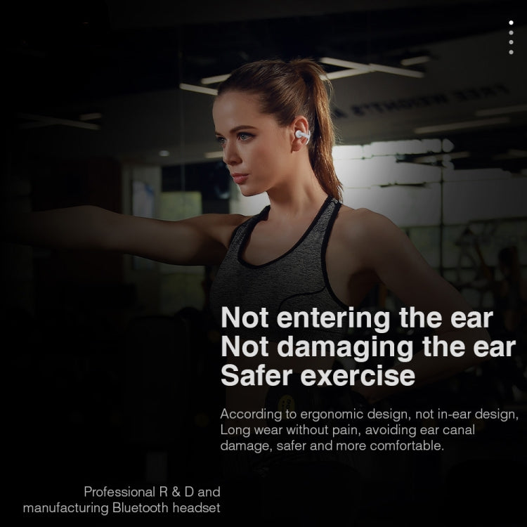 Hileo Hi80 TWS Wireless Bluetooth IPX5 Waterproof In-ear Sports Noise Reduction Earphone, Hi80