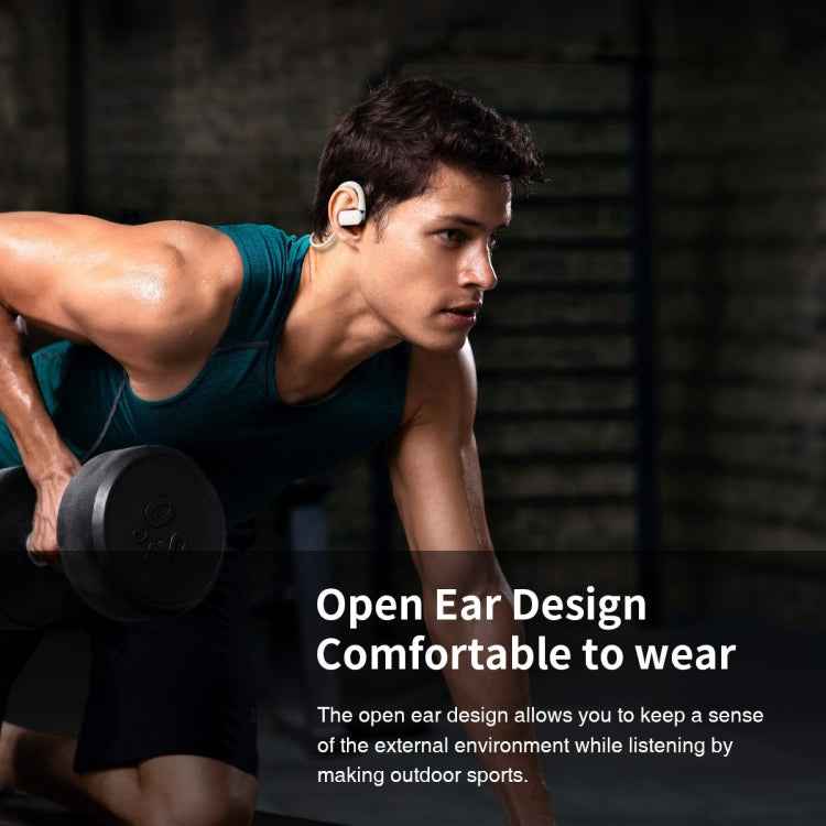 Hileo Hi77 TWS Waterproof Noise Reduction Sports Bluetooth Earphone