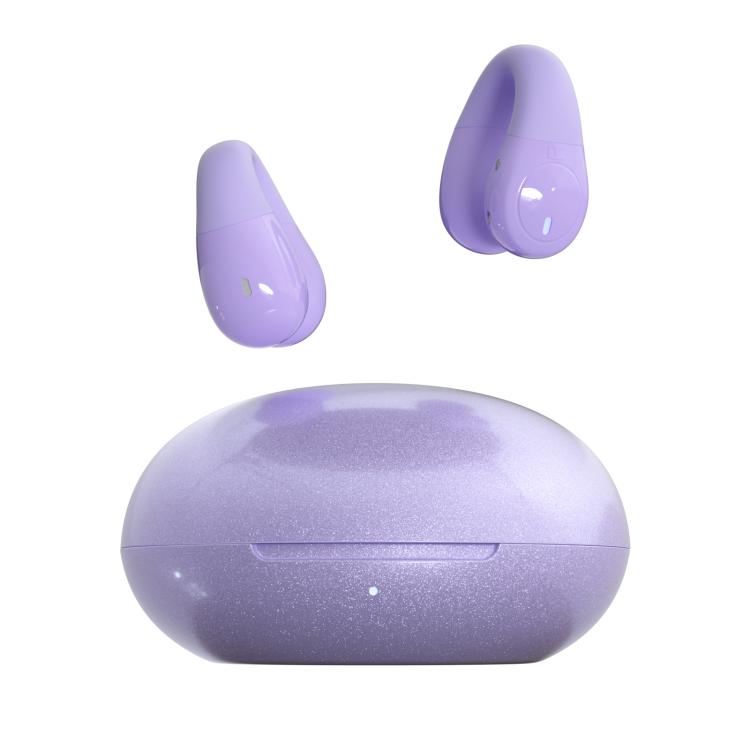 F13 Ear-Hook Noise Reduction 13mm Moving Coil HIFI BT 5.4 Wireless Earphones