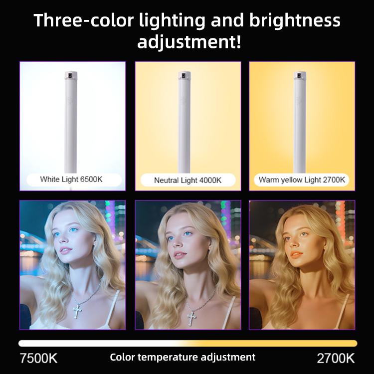 G10 Handheld RGB Chin and Neck Wrinkle Light Fill Light LED Video Light, Standard Version, with Mini Tripod