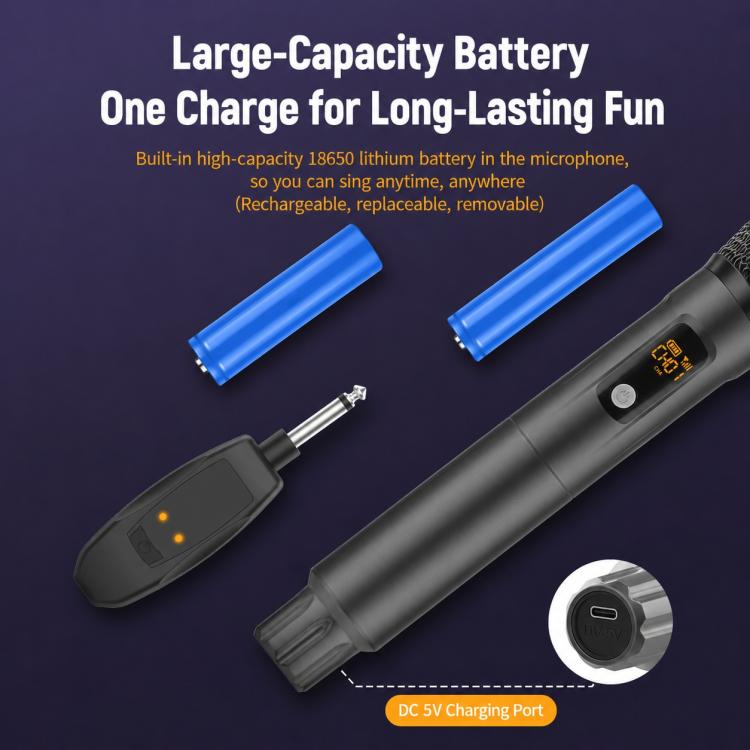 G109 1 to 2 Anti-Feedback 2.4G Wireless Handheld Microphone