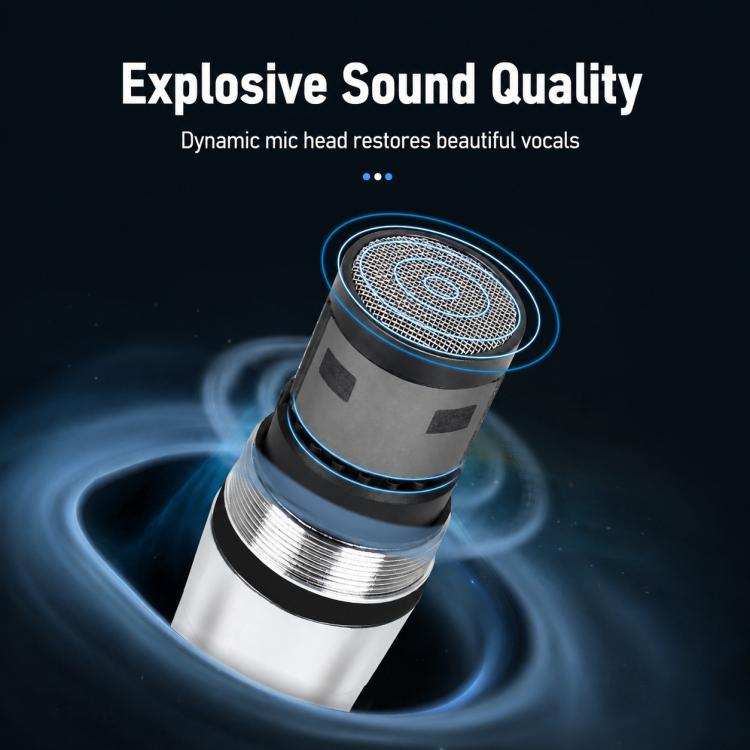YS-227 Separate Wired Dynamic Microphone, 6.35mm