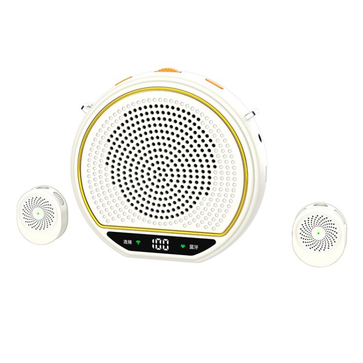 M28 2.5 inch Dual Mic Portable Wireless Lavalier Microphone Teaching Voice Amplifier, M28