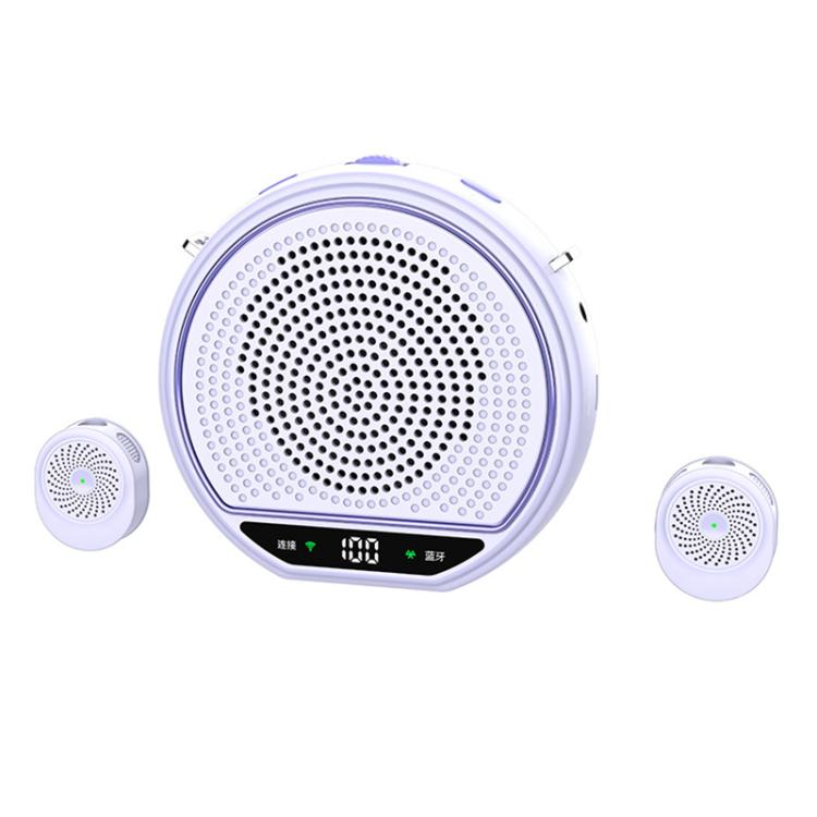 M28 2.5 inch Dual Mic Portable Wireless Lavalier Microphone Teaching Voice Amplifier, M28
