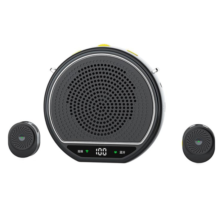 M28 2.5 inch Dual Mic Portable Wireless Lavalier Microphone Teaching Voice Amplifier, M28