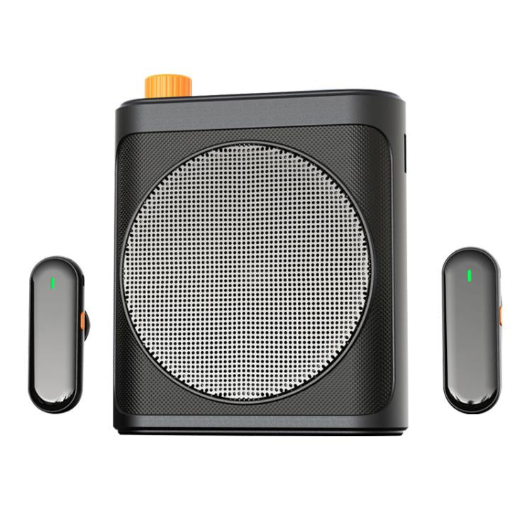 M29 Dual Mic Portable Wireless Lavalier Microphone Teaching Voice Amplifier, M29
