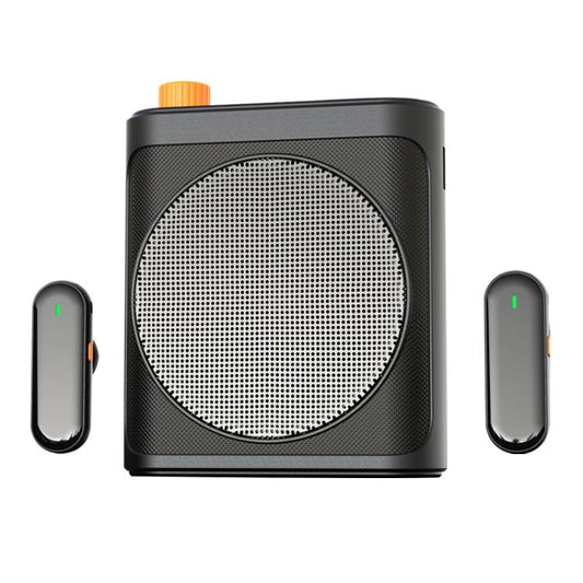 M29 Dual Mic Portable Wireless Lavalier Microphone Teaching Voice Amplifier, M29