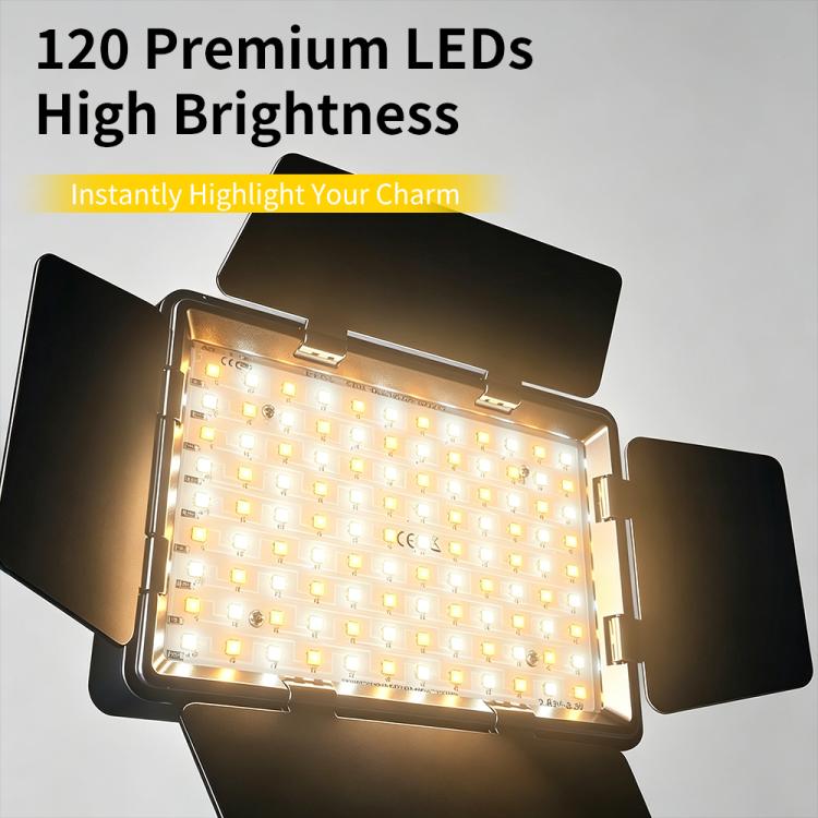 RL-560 Rechargeable Clip?on Fill Light with Barn Doors