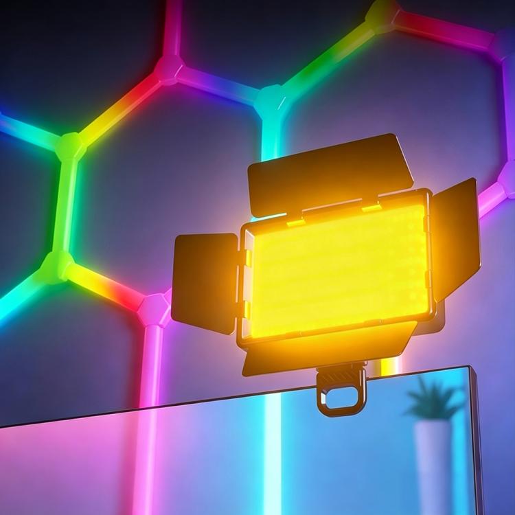 RL-560 Rechargeable Clip?on Fill Light with Barn Doors