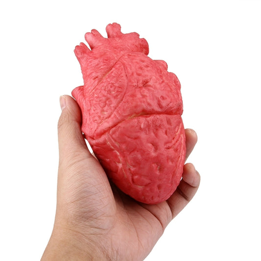 Popular Funny Halloween Props Fake Heart, Fake Heart