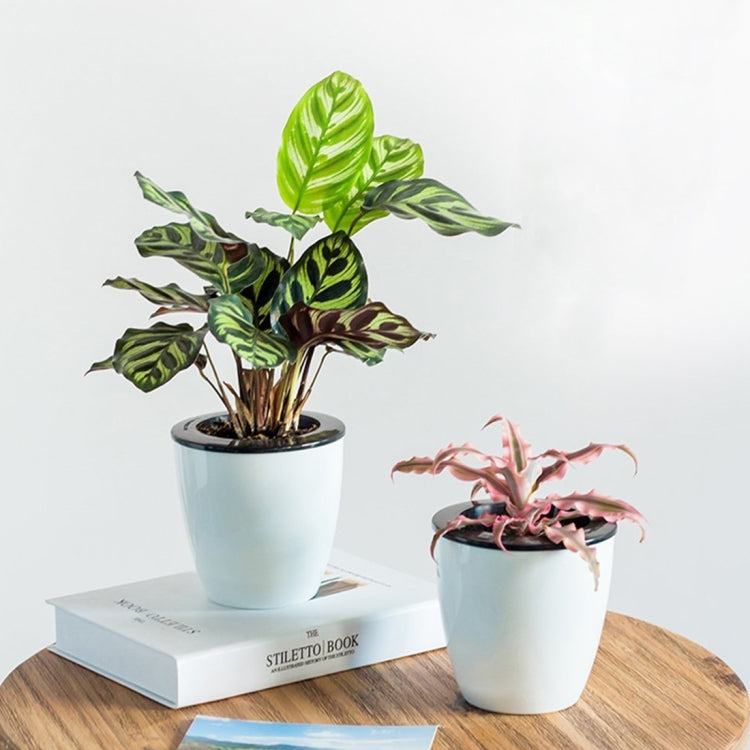 Lazy Flower Pots Automatic Water-absorbing Hydroponic Potted Plants Circular Resin Plastic Flower Pots Double-layer Design Self Watering Planter, Diameter: 12cm, Height: 12.2cm, Diameter: 12cm, Height: 12.2cm