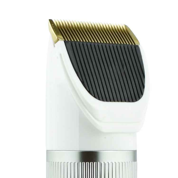 Q6 USB Charging Electric Pet Shaver with Four Combs