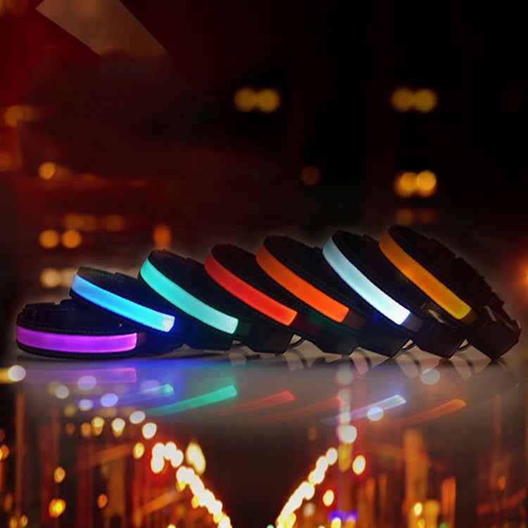 Medium and Large Dog Pet Solar + USB Charging LED Light Collar, Neck Circumference Size: L, 50-60cm, Size: L