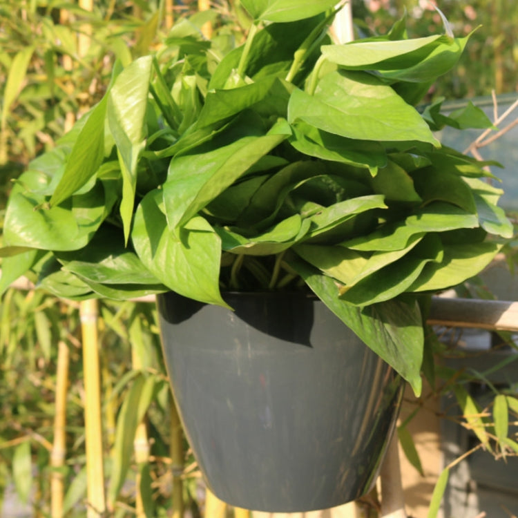 Self-Watering Planter Grow Plants Lazy Flower Pots Wall-hanging Round Resin Plastic Flower Pots, Size: 18x12.5x16cm, Size: 18x12.5x16cm