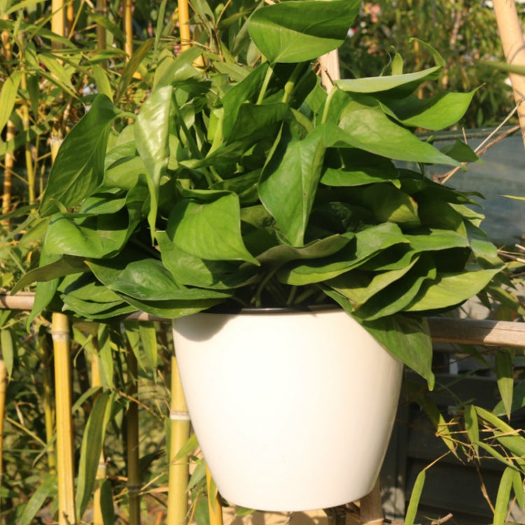 Self-Watering Planter Grow Plants Lazy Flower Pots Wall-hanging Round Resin Plastic Flower Pots, Size: 18x12.5x16cm, Size: 18x12.5x16cm