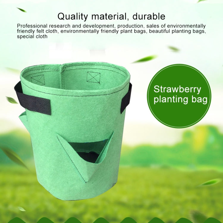 3 Pockets 18L / 5 Gallon Non-woven Felt Strawberry Planting Bag, Size: 23X28cm