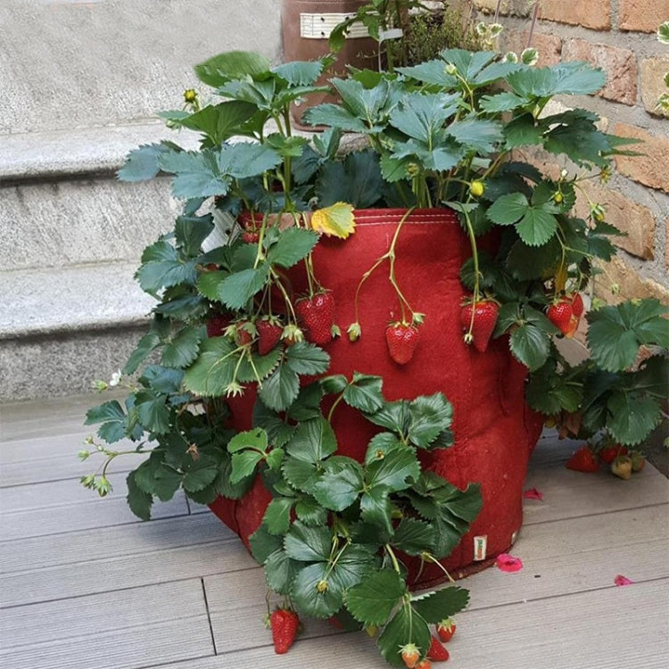 3 Pockets 18L / 5 Gallon Non-woven Felt Strawberry Planting Bag, Size: 23X28cm