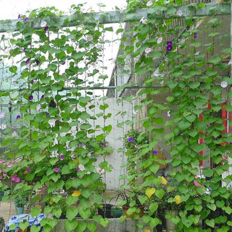 Plants Climb Rattan Frame Adornment Flower Rack Flowers Plants Craft Hanging Decor Gardening Net,Size:1.8 x 2.7m