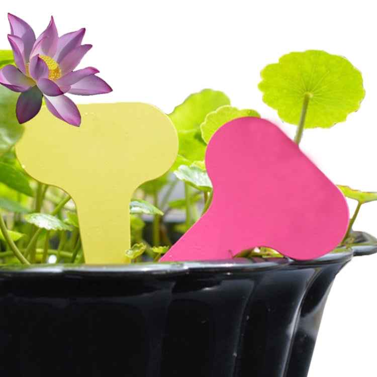 100PCS Floral Label Gardening Label Waterproof small card Insert Label Potted Label,Random Color Delivery
