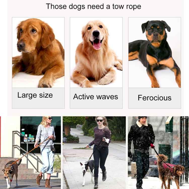 Pet Dogs Nylon Night Reflective Breathable Handheld Traction Lead Leash, Size: S, Adjustable Range: 2.0*(100-140cm)