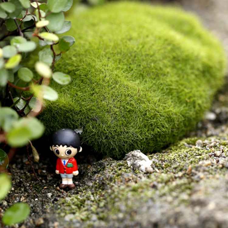 Simulation of False Moss Simulation of Bryophyte Stone Moss Flocking False Lawn Micro Landscape Decoration Accessories,Diameter:10cm