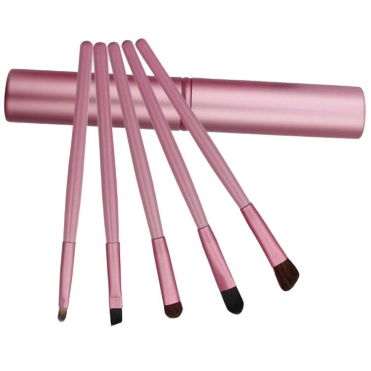 5 PCS Handle Eyes Makeup Brush Set with Aluminum Tube