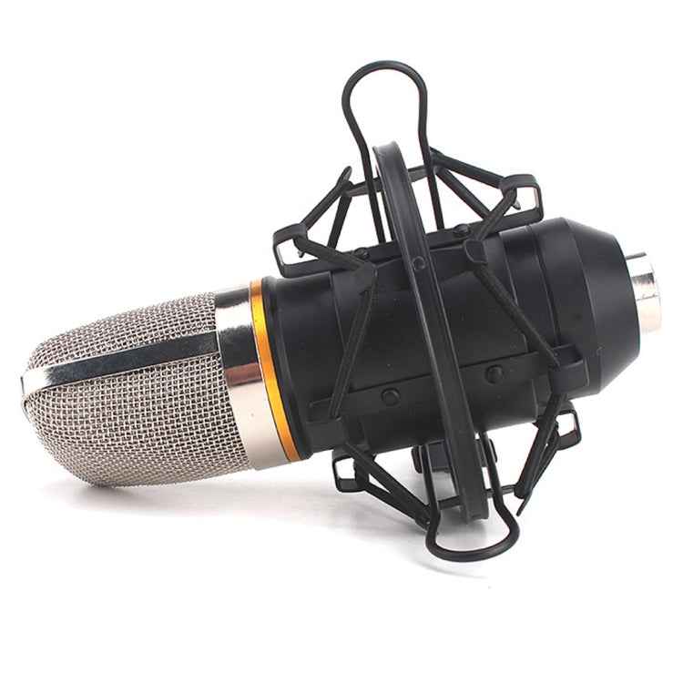 for Studio Recording, Live Broadcast, Live Show, KTV, etc.