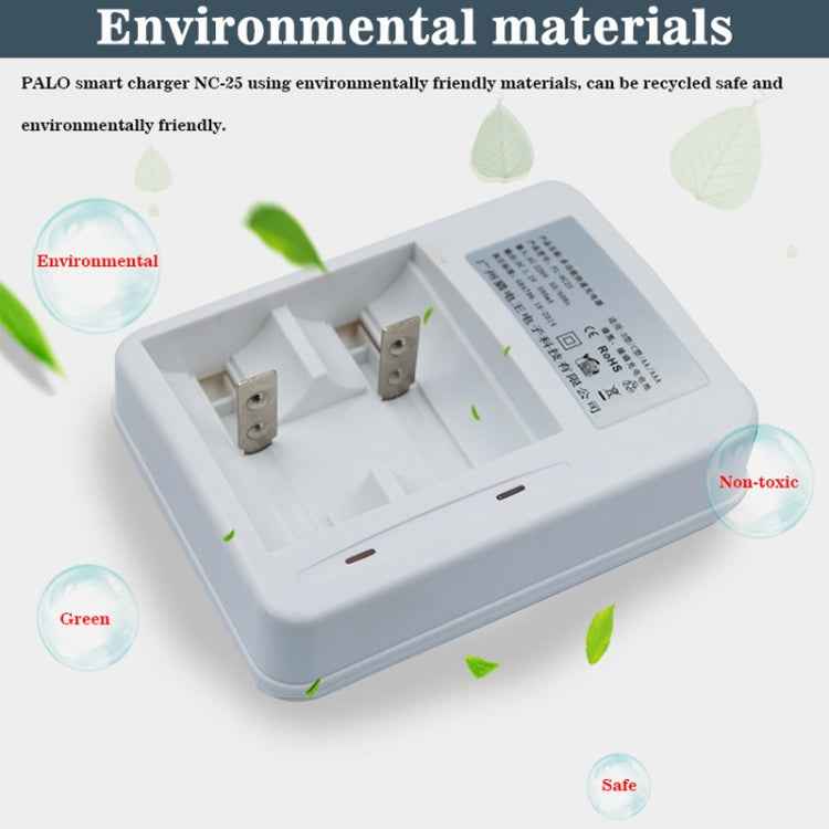 AC 220V 2 Slot Battery Charger for AA & AAA & C / D Size Battery, CN Plug