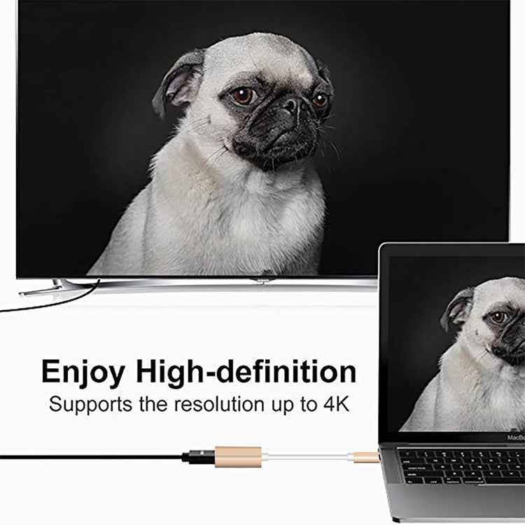 USB-C / Type-C 3.1 Male to Mini DP Female HD Converter, Length: 12cm